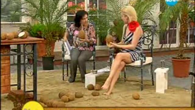 На кафе с Гала-Темата за кокосовите орехи и кокосовото масло-с д-р Папазова 1