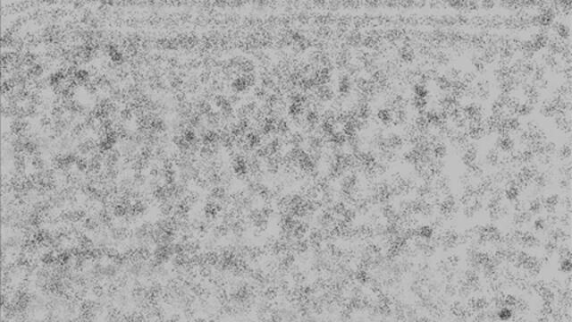 Left 4 Dead - Parody 2