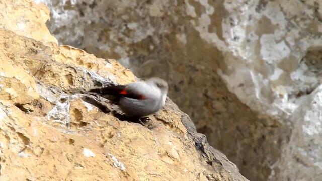 Богатството на хората