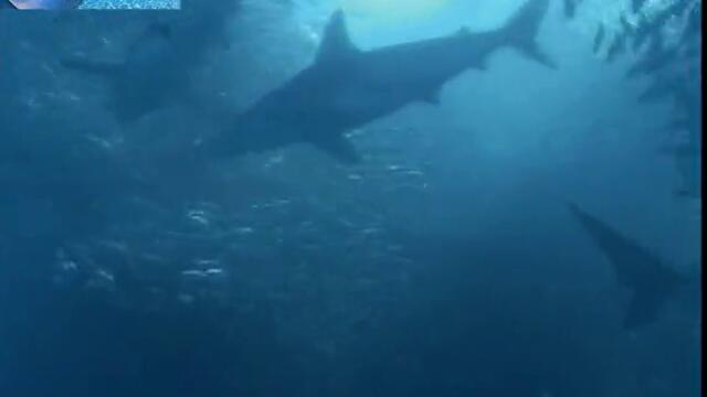 Борбата за живот