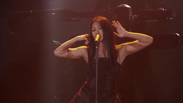 Schiller - 04. Blind (Live in Hamburg) feat. Anggun