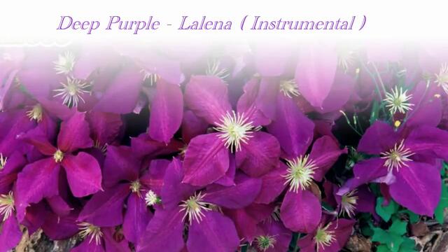 Deep Purple - Lalena ( Instrumental )