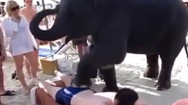 Сладко слонче масажира мъж !