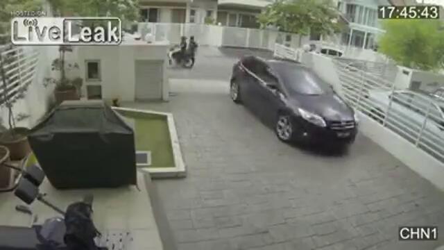 Мацка не се дава на крадец