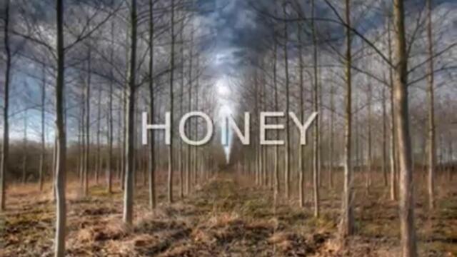 МЕД - Bobby Goldsboro