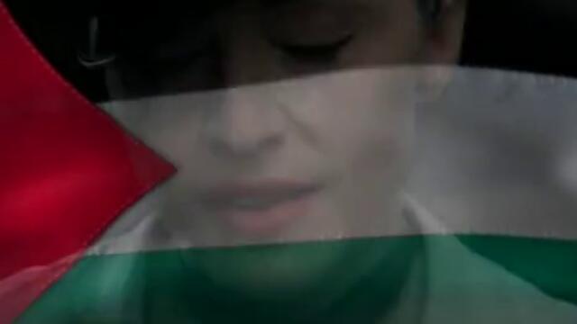 Madonna - American Life (Flag Version) (Promo Only)