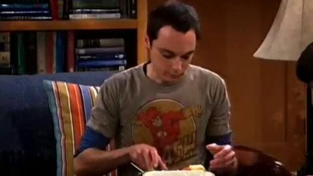 BIG BANG THEORY S01X13