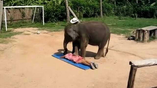 Слон масажира жена на плажа