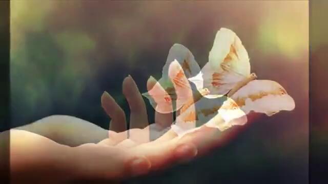 Scorpions ~ Born To Touch Your Feelings + Lyrics