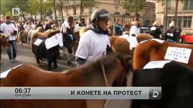 Дори конете излязоха на протест в Париж
