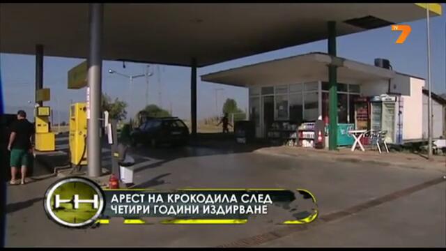 Бандата на Крокодилите - терор по магистралите