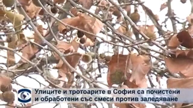 Улиците и тротоарите в София са почистени и обработени със смеси против заледяване