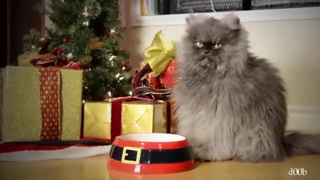 Весела Коледа! / Как празнуват котките - БГ-версия
