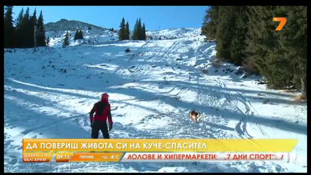 Да повериш живота си на куче-спасител 23.12.2013 | 10:09