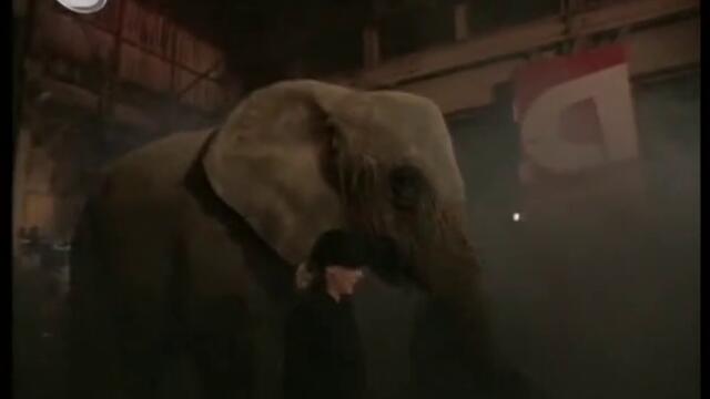 Как ще изчезне 3-тонен слон - Разбулените тайни на магията