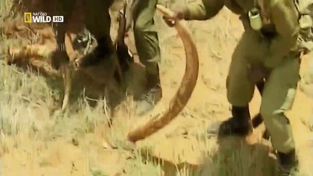 Кървави Кости (2012) - Бг Аудио - 1/4