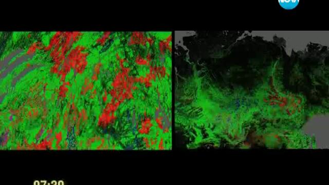 Горите на планетата изчезват с много бързи темпове