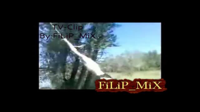 Не Стигна Далече