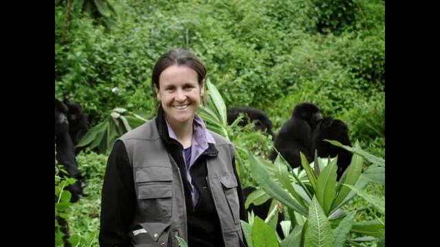 Dian Fossey's' (Даян Фоси) 82nd birthday celebrated with Google Doodle (HD)
