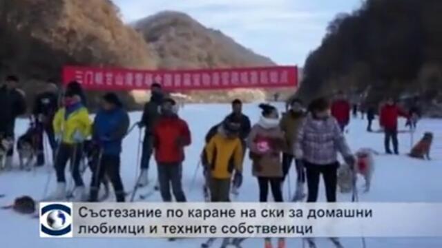 Състезание по каране на ски за домашни любимци и техните собственици