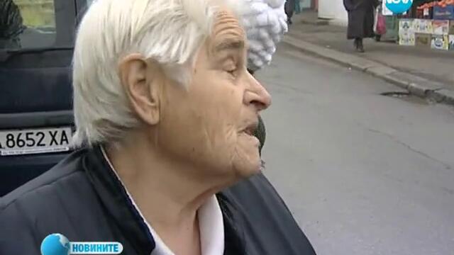 Да очакваме ли бум на хлебарките заради меката зима?