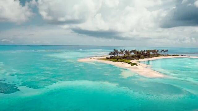 Реджеп Иведик 4 трейлър