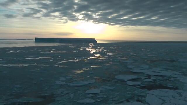 Императорите на Антарктида »» Природозащитен Статут »»»» Застрашен