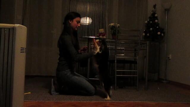 Малкото Хеки