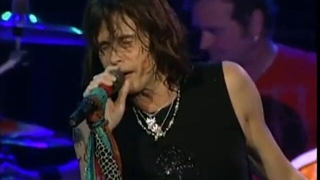 Aerosmith - I Don't Want To Miss A Thing (Live)