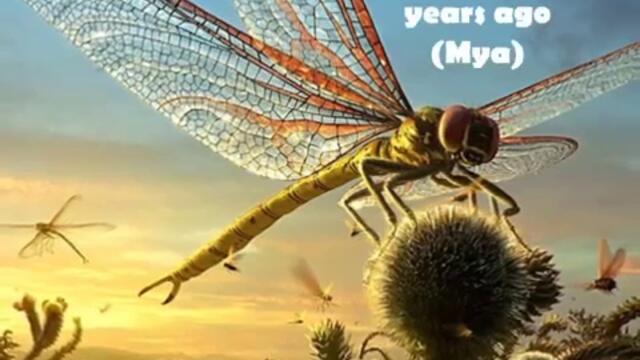 World's 10 Biggest Animals of All Time