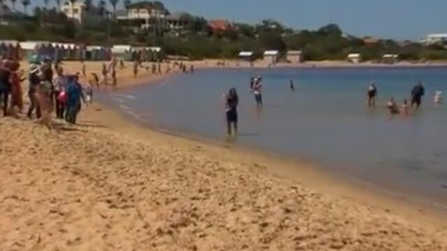 На Ли позира с титлата от "Аustralian open"