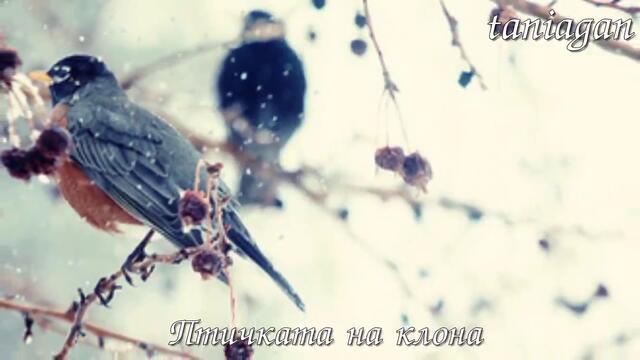 Tombe La Neige - Salvatore Adamo (превод)