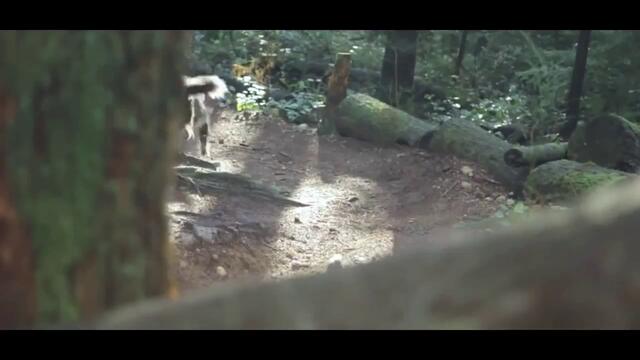 Екстремно каране на колело през гора.