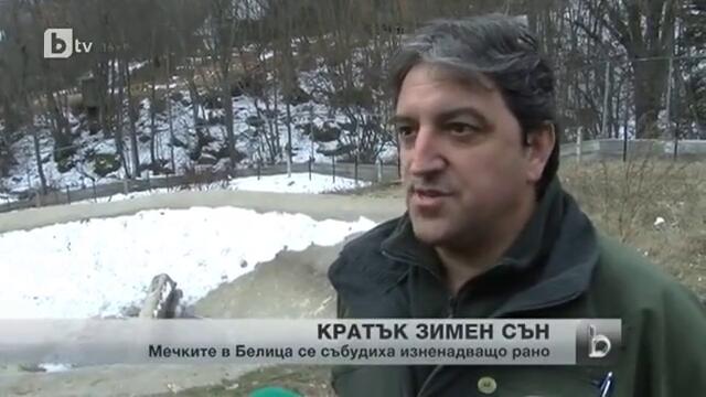 В разгара на зимата мечките от Белица се събуждат