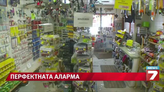 Риба играчка уплаши крадец