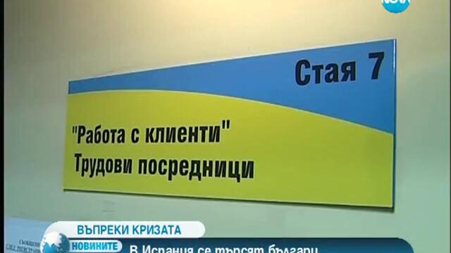 В Испания се търсят българи за бране на ягоди