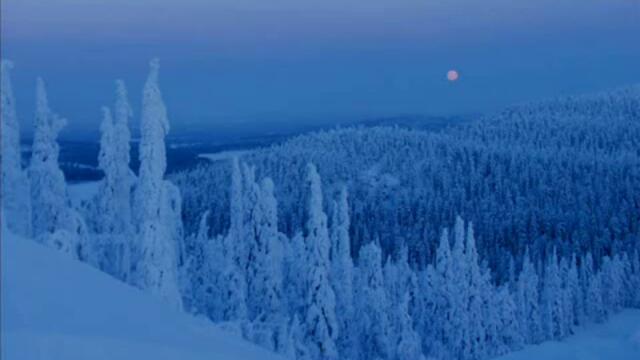 Nightwish - Beauty of the Beast (Lyrics)