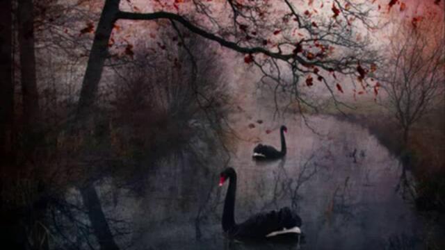 Nightwish - Cadence of Her Last Breath (+ lyrics)