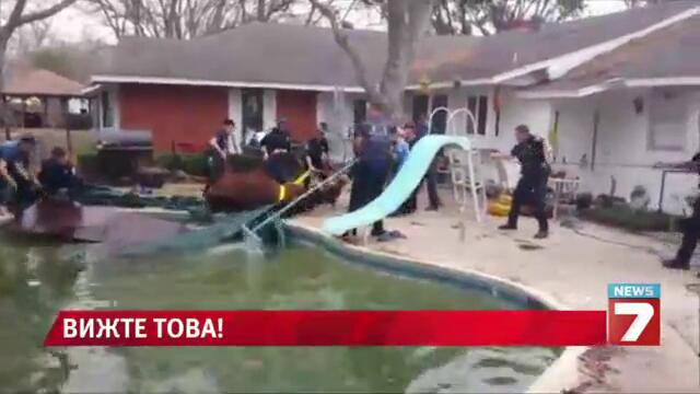 Скъпи, има чужд бик в басейна