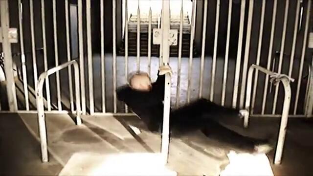 EFC - Street Fitness by t4v