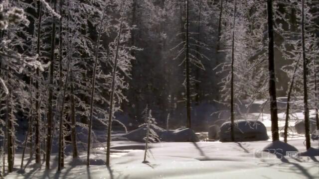 Красотата на природата -- Yiruma - River Flows In You
