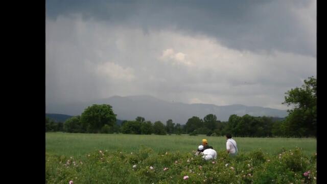Долината на розите (The valley of roses and Thracian kings)