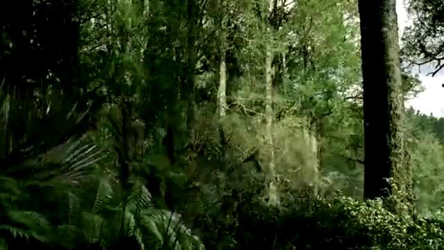 Много луда реклама