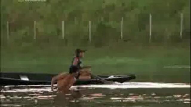 Най - Опасните Животни В Света - Част 2