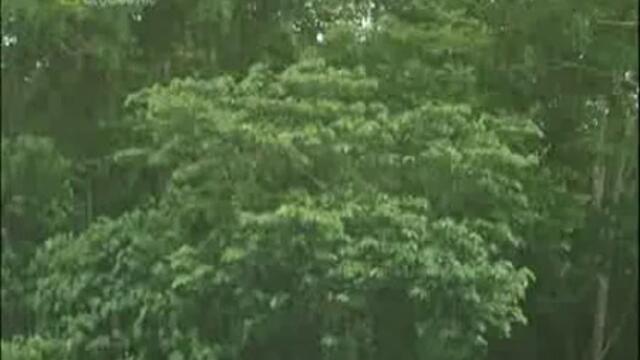 Най - Опасните Животни В Света - Част 7