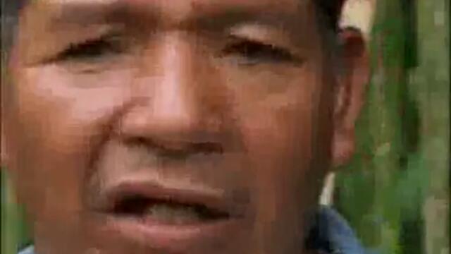 Най - Опасните Животни В Света - Част 12