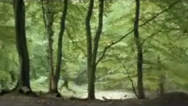 Тази реклама ще ви разбие