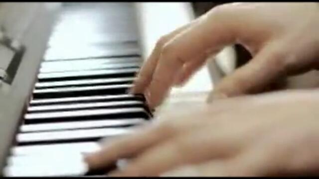 Мери Бойс Бенд-Слънчогледите