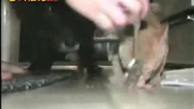 Махни се досаднико