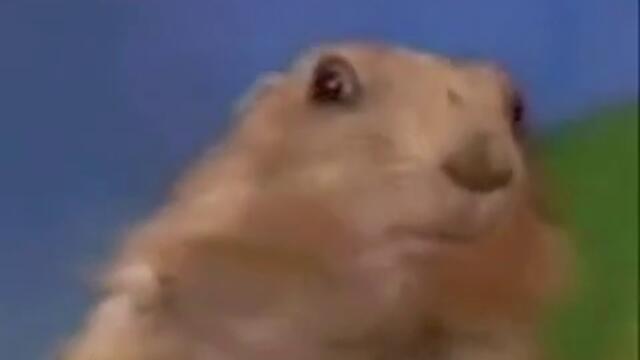 Най-зловещия поглед (смях)